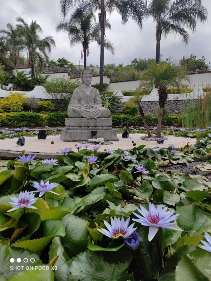Apartamento Santuario Jardín de la Abundancia Tepoztlán Exterior foto